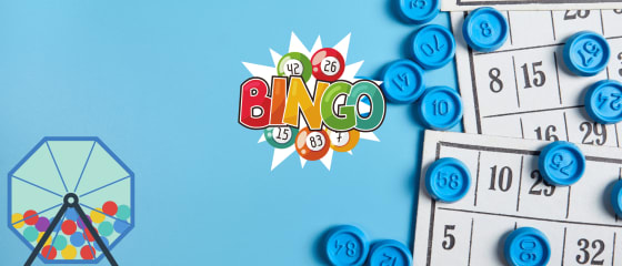 10 interessante feiten over bingo die u waarschijnlijk niet wist