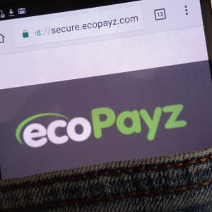 Ecopayz voor online casino stortingen en opnames
