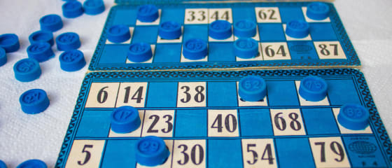 Hoeveel soorten online bingo zijn er in online casino's